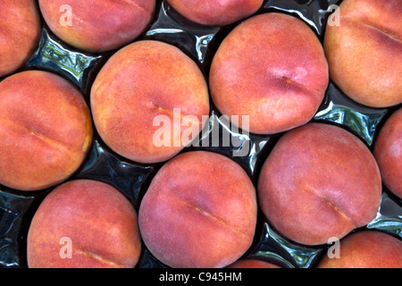 Pfirsiche "Sweet Sue" Verpackung Tablett, Bauernmarkt. Stockfoto