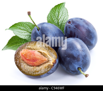 Gruppe von Pflaumen mit Blatt isoliert auf einem weißen Hintergrund. Stockfoto