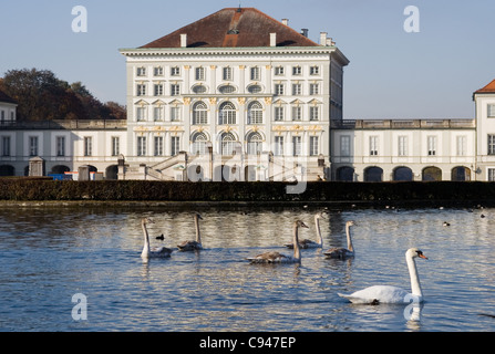 Schwäne vor das Schloss Nymphenburg, München Stockfoto