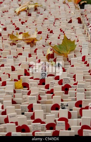 Tribute t der gefallenen im Bereich des Gedenkens in der Westminster Abbey Stockfoto