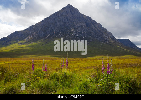 Buachille Etive Mor Dearg, Stob, Rannoch Moor, Glencoe, Bezirk Lochaber, Schottland, Großbritannien, Großbritannien Stockfoto