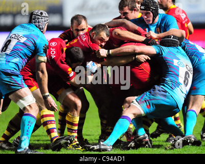 Amiln Challenge Cup, Pool 4: USAP - Exeter Chiefs (Perpignan, 11 Nov. 11) Stockfoto