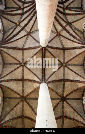 Handförmig Säulen und gerippten Gewölbe, Kloster der Jakobiner, Toulouse, Haute-Garonne, Midi - Pyréneés, Occitanie, Frankreich Stockfoto