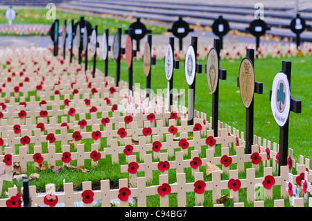 Holzkreuze mit Mohnblumen in Erinnerung an die Soldatinnen und Soldaten in der Tätigkeit getötet. Stockfoto