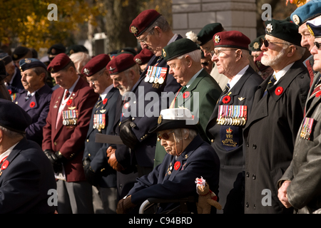 London Ontario, Kanada - 11. November 2011. Eine Gruppe von Veteranen während Volkstrauertag Zeremonien am Ehrenmal im Victoria Park in London Ontario Kanada. Stockfoto