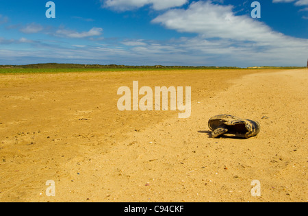 Ein sandiger Schuh, auf einer einsamen Insel ausgesetzt, an einem sonnigen Tag mit blauem Himmel und weißen Wolken Stockfoto