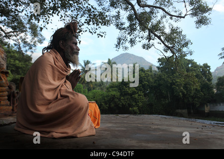 Sadhu sitzen an einem heiligen Baum mit Statuen von Hindu-Götter Tamil Nadu, Indien Stockfoto