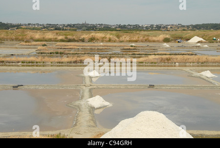 Marais Salants, Salzwiesen, in der Nähe von Batz-Sur-Mer auf der Halbinsel Guérande im Departement Loire-Atlantique, Frankreich Stockfoto