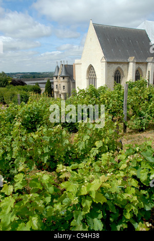 Château du Roi René, Burg des Königs René in Angers an der Loire im Departement Maine-et-Loire in Frankreich Stockfoto