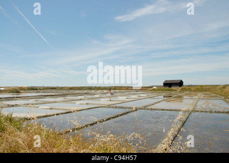 Marais Salants, Salzwiesen, in der Nähe von Batz-Sur-Mer auf der Halbinsel Guérande im Departement Loire-Atlantique, Frankreich Stockfoto