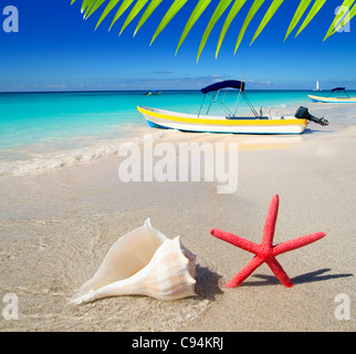 Strand-Seestern und Muschel mit tropischen Boot im türkisfarbenen Meer Stockfoto