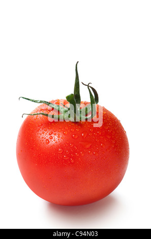 Schöne frische rote Tomate mit Tau auf einem weißen Hintergrund. Ausschnitt Stockfoto