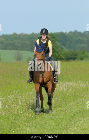 Junger Fahrer mit einem Reiten Hut und einen Körperschutz auf Rückseite ein "American Standard gezüchtet" (Trotter) auf einer Wiese galoppieren Stockfoto