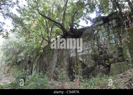 Weg von der Unterwelt (Via Degli Inferi) in der etruskischen Nekropole Banditaccia, Cerveteri, Italien Stockfoto