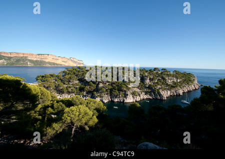 Les Calanques, Port-Pin, Cassis, Provence, Frankreich Stockfoto