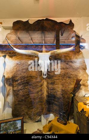 Longhorn-Schädel und verstecken sich in einem Schaufenster, Stockyards Station auf Exchange Avenue, Stockyards District, Fort Worth, Texas, USA Stockfoto