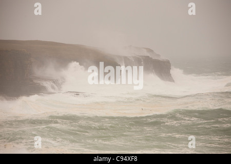 Sturm, Wellen, die über 80 Fuß Klippen am Deerness auf Orkney Mainland, Schottland, UK angetrieben. Stockfoto