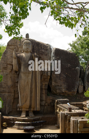 Aukana Buddha Stockfoto