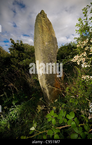 Pistole Rith neolithischen Menhir in der Nähe von The Merry Maidens Steinkreis, Penwith, Cornwall, UK Stockfoto