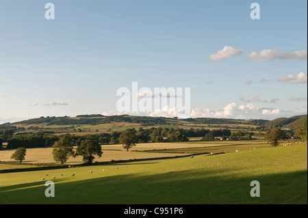 Blick vom Herrock Hill auf den Offa's Dike Path, Blick nach Osten in Richtung Knill und Presteigne an einem schönen Sommerabend Stockfoto