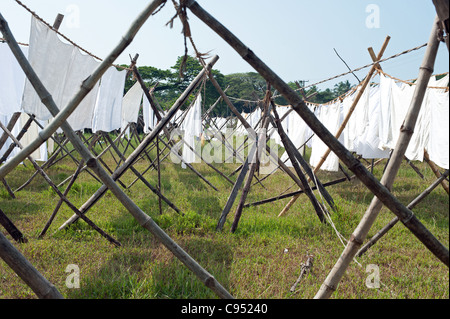 Wäscheleine Stockfoto