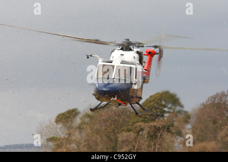 ZD50 Westland Lynx Hubschrauber Stockfoto