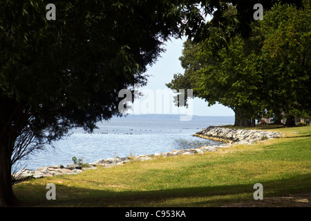 Ein Blick des James River entlang des Flussufers von The Jamestown Island Virginia Stockfoto