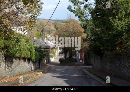 Main Street, Castletownshend, Co. Cork, Irland, mit den beiden Bäumen in der Mitte der Straße. Stockfoto