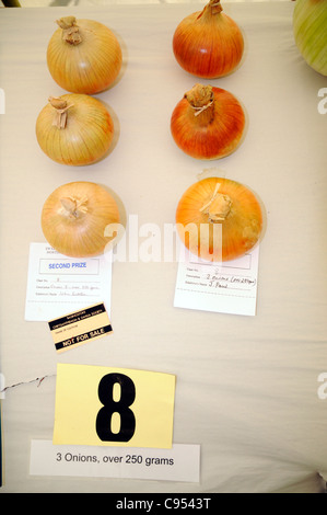 Gemüse auf dem Display für Wettbewerb im Land zeigen, UK. Stockfoto