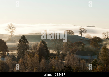 Am frühen Morgennebel im herbstlichen Sonnenschein in Richtung Hawkshead Moor Lake District National Park England Vereinigtes Königreich UK Stockfoto