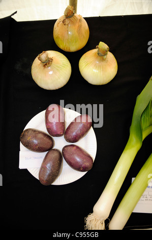 Gemüse auf dem Display für Wettbewerb im Land zeigen, UK. Stockfoto