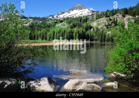 Berggipfel spiegelt sich in Silver Lake in Utah Stockfoto