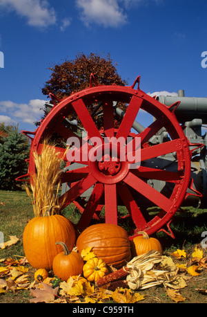 Schließen bis Herbst Blätter, rote alte Fordson Traktor Rad, Garten Kürbisse, indischen Mais, Kürbisse, squash Garten Display, New Jersey, USA, Henry Ford Traktor Stockfoto