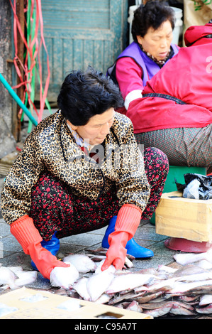 Jagalchi Fischmarkt in Busan, Südkorea. Stockfoto