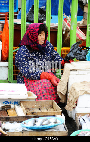 Jagalchi Fischmarkt in Busan, Südkorea Stockfoto