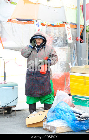 Jagalchi Fischmarkt in Busan, Südkorea Stockfoto