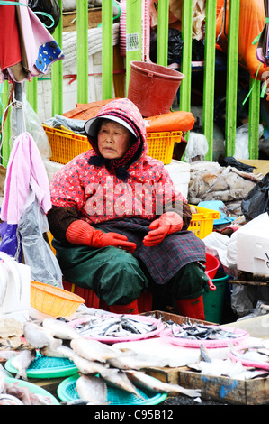 Jagalchi Fischmarkt in Busan, Südkorea Stockfoto