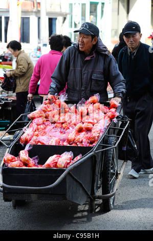 Jagalchi Fischmarkt in Busan, Südkorea Stockfoto