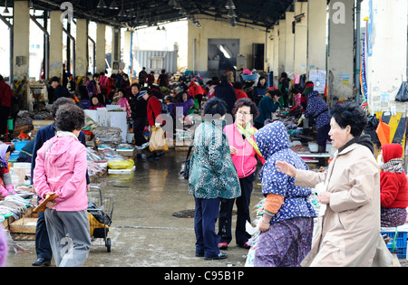 Jagalchi Fischmarkt in Busan, Südkorea Stockfoto