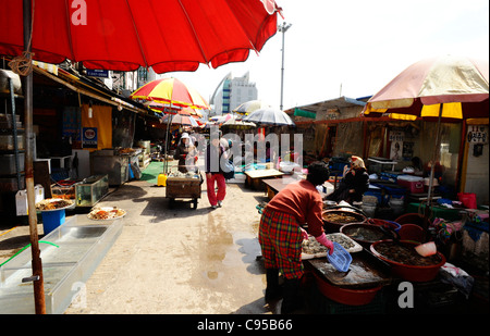 Jagalchi Fischmarkt in Busan, Südkorea Stockfoto