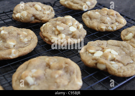 Weiße Schokolade Macadamia-Nuss-Cookies auf einem Kuchengitter abkühlen. Stockfoto