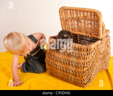 kleiner Junge neugierig spielen mit Kätzchen in Picknick-Korb Stockfoto