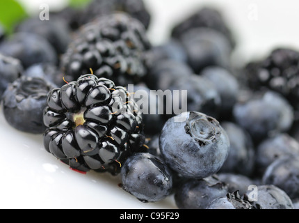 frische Heidelbeeren und Brombeeren, Nahaufnahme Schuss, mit Wassertropfen Stockfoto