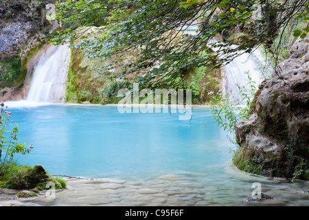 Fluss im tiefen Wald Stockfoto