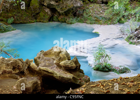 Fluss im tiefen Wald Stockfoto