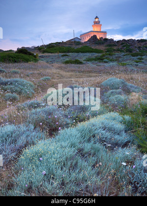 Leuchtturm am Capo Testa, Sardinien, Italien. Stockfoto