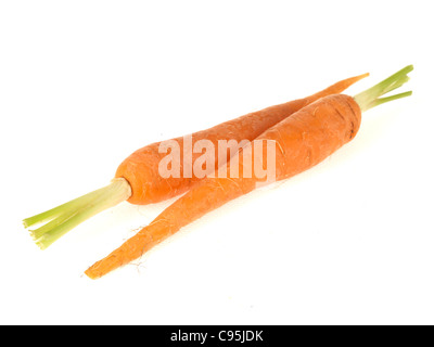 Frische, gesunde Bio Roh ungekocht süße Karotten gegen einen weißen Hintergrund mit Freistellungspfaden und keine Leute Stockfoto