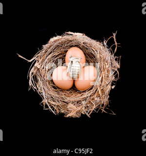 3 X Eiern mit 1 Granate sitzt in einem Vogelnest Stockfoto