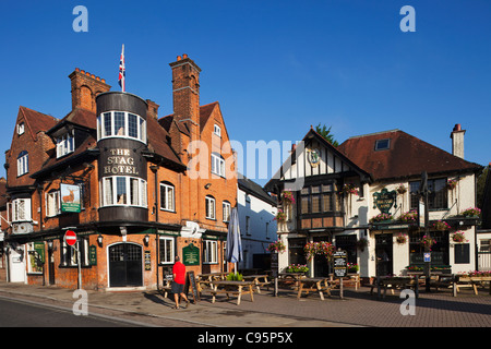 England, Hampshire, New Forest, Lyndhurst, Pubs Stockfoto