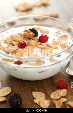 Gesundes Frühstück. Müsli mit Heidelbeere und Himbeere Stockfoto